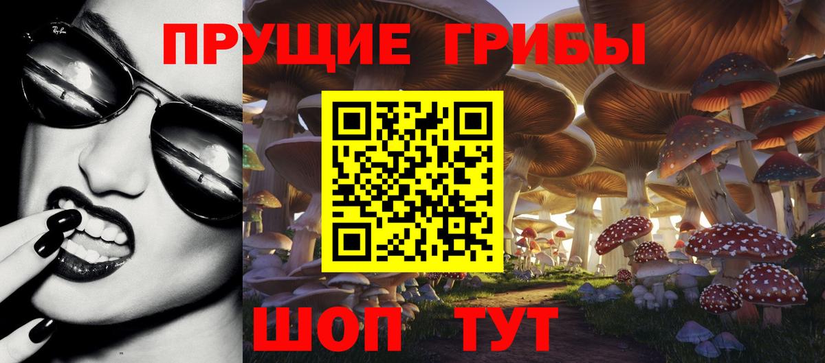 Галлюциногенные грибы прущие грибы  Галлюциногенные грибы ЛСД  Канаш  Вход с VPN 